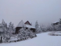 山城雪景集锦 重庆人冬天的快乐来了