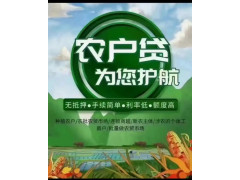 农户贷（30-300W）图1