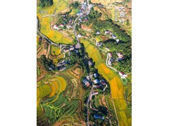 渝见好“村”光 | 垫江大同村：看丰收烟火，过舒服田园慢生活
